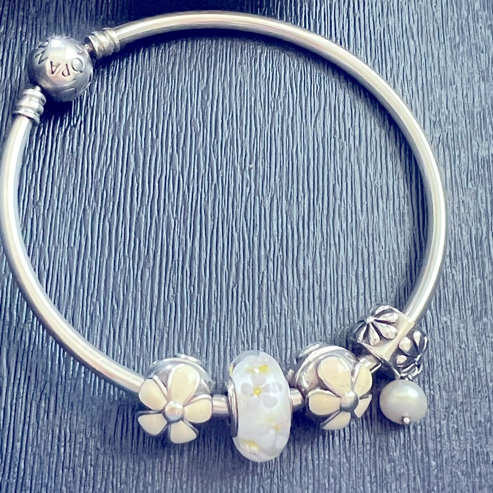 Authentic Ale 925 Pandora Bangle Bracelet Bundle
